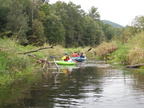 IMG 4599
